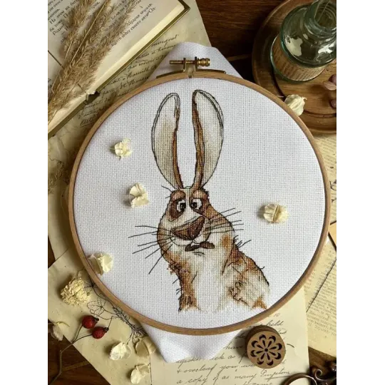 Cross stitch kit "Emotions. Bewilderment." SANE-07