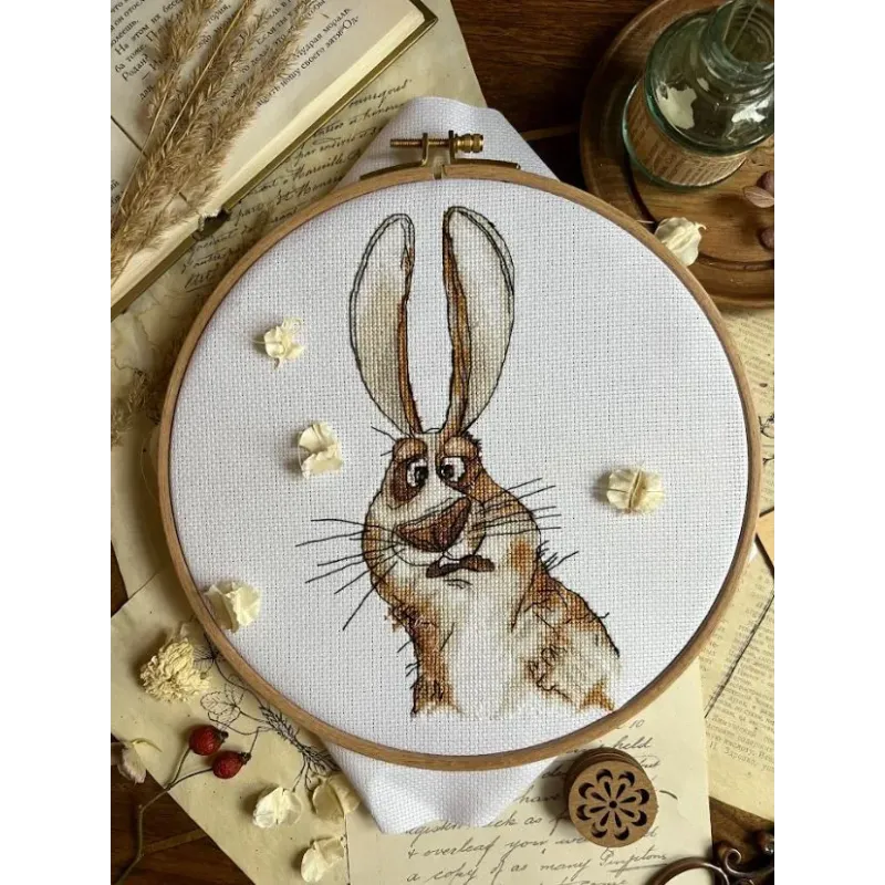 Cross stitch kit "Emotions. Bewilderment." SANE-07