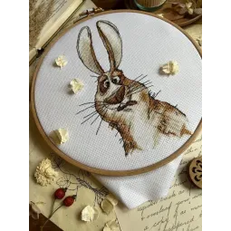 Kryželiu siuvinėjimo rinkinys "Emocijos. Nuostaba." 18,5 х 18 cm SANE-07