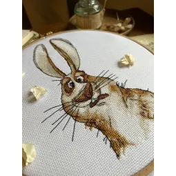 Cross stitch kit "Emotions. Bewilderment." 18,5 х 18 cm SANE-07