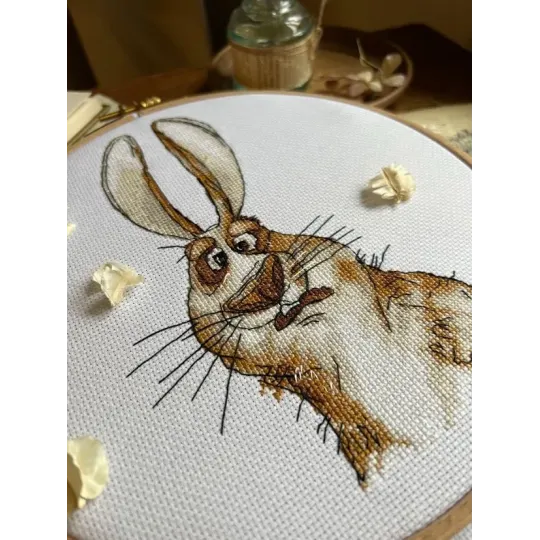 Cross stitch kit "Emotions. Bewilderment." 18,5 х 18 cm SANE-07