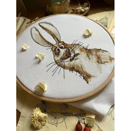 Kryželiu siuvinėjimo rinkinys "Emocijos. Nuostaba." 18,5 х 18 cm SANE-07