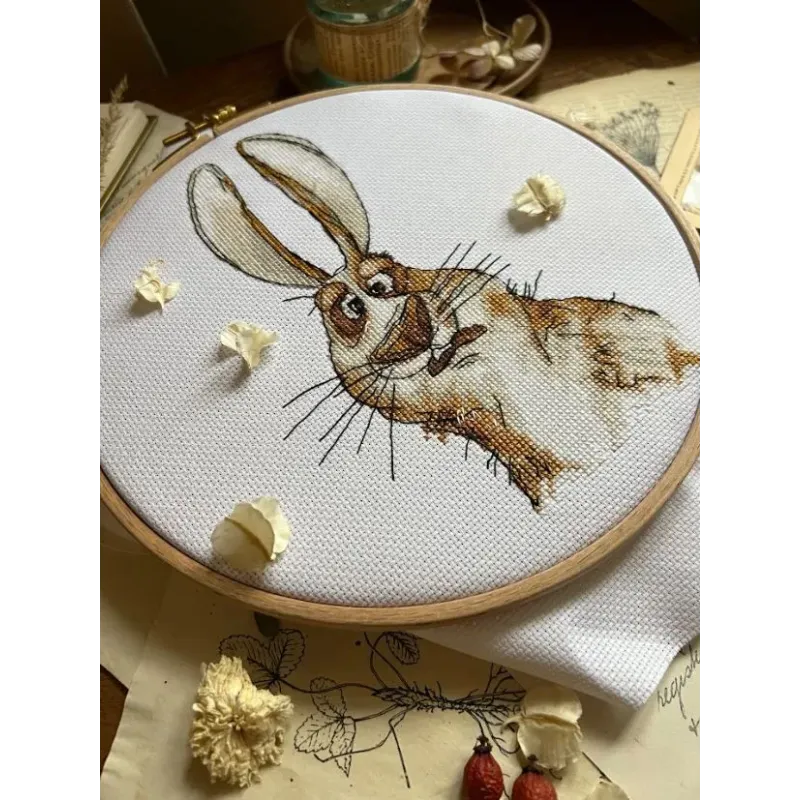 Cross stitch kit "Emotions. Bewilderment." SANE-07