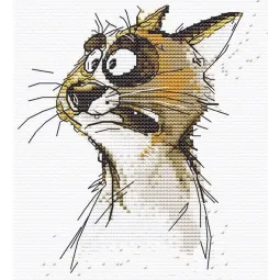 Набор для вышивания крестиком "Эмоции. Шок." 11 х 12 см SANE-05