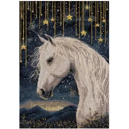 Cross stitch kit "Under the starry sky" PJ-7537
