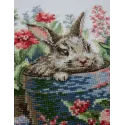 Kreuzstich-Set "Blühender Hase" 20x20 cm SRA1030
