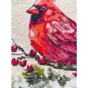 Cross stitch kit "Winter Cardinal" 15 х 15 cm AAHM-096