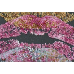 Pagrindinis karoliukų siuvinėjimo rinkinys