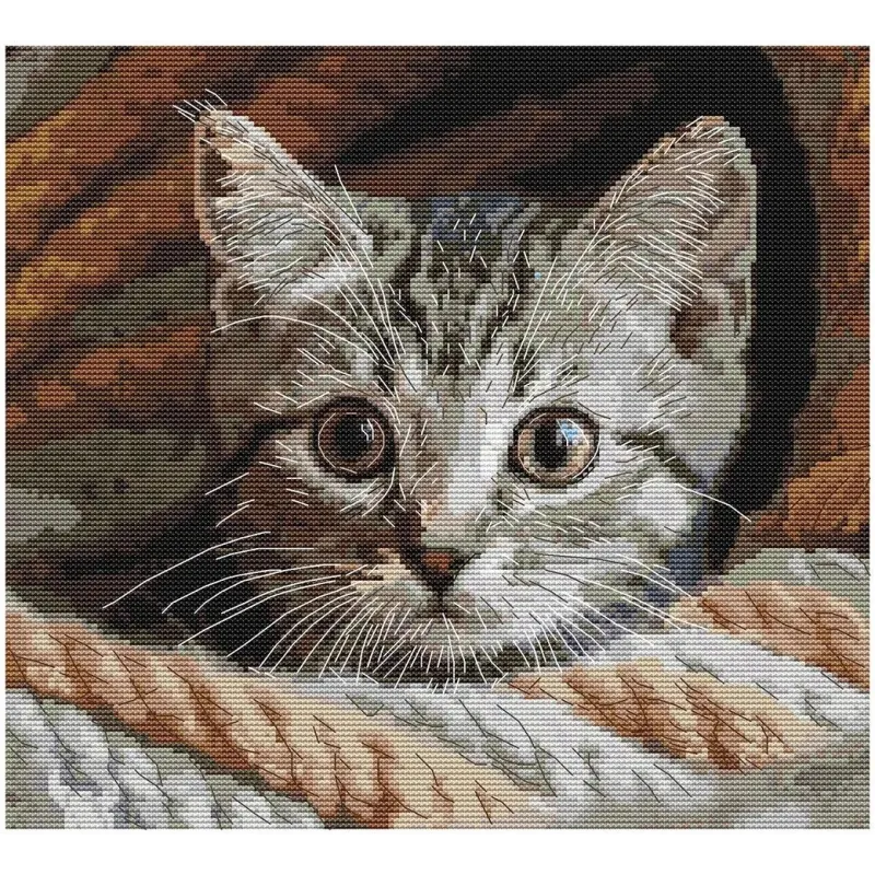 Cross stitch kit "Spy" 25,5 х 23 cm SANU-10