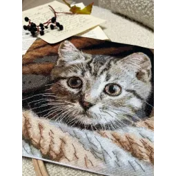 Набор для вышивания крестиком "Шпион" 25,5 х 23 см SANU-10