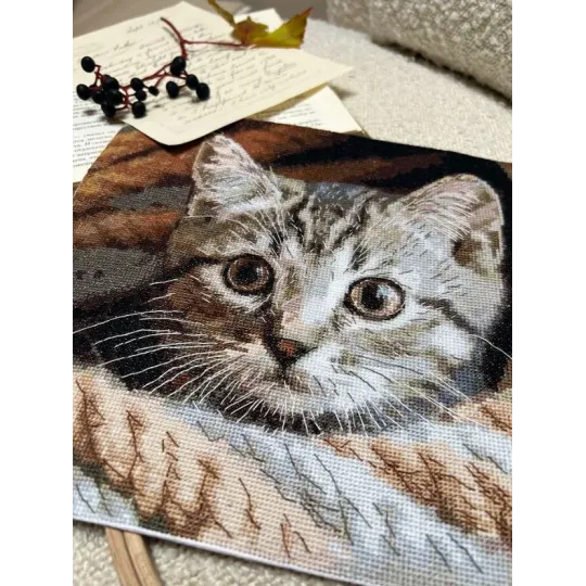 Cross stitch kit "Spy" SANU-10