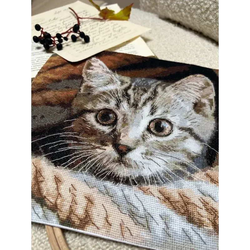 Cross stitch kit "Spy" 25,5 х 23 cm SANU-10