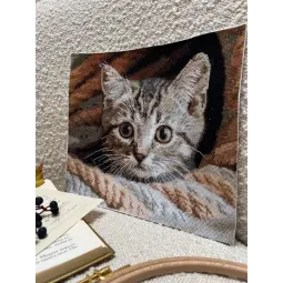 Kreuzstich-Set "Spion" 25,5 x 23 cm SANU-10