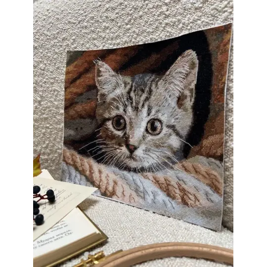 Cross stitch kit "Spy" SANU-10