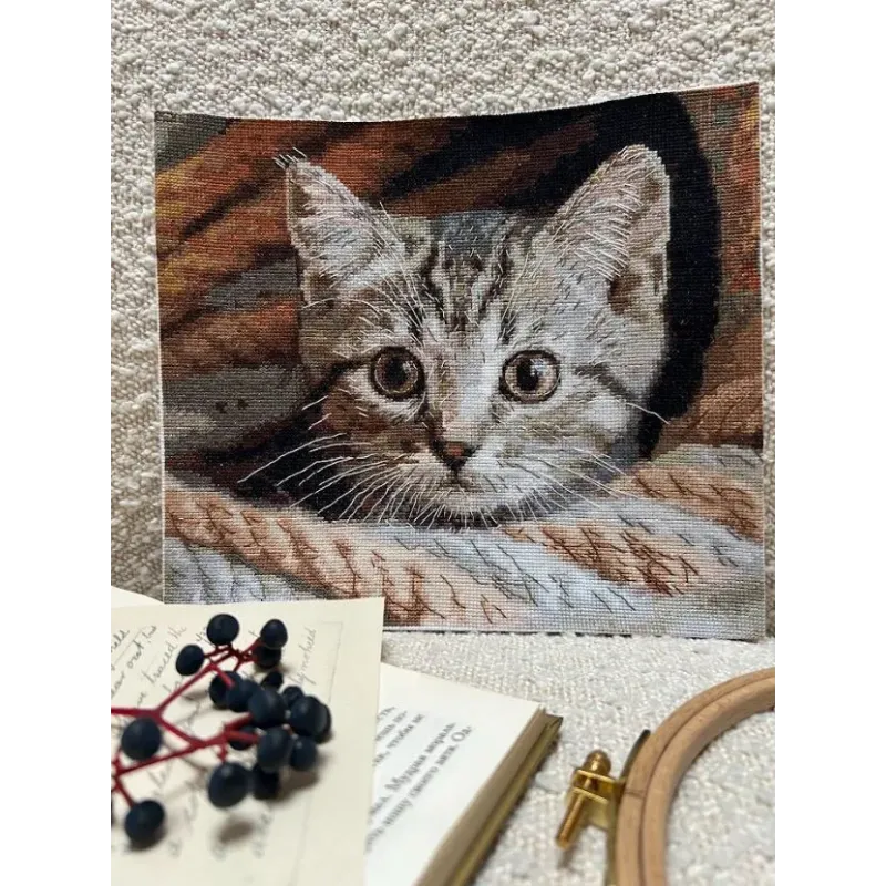 Cross stitch kit "Spy" SANU-10