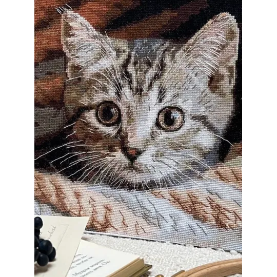 Cross stitch kit "Spy" SANU-10