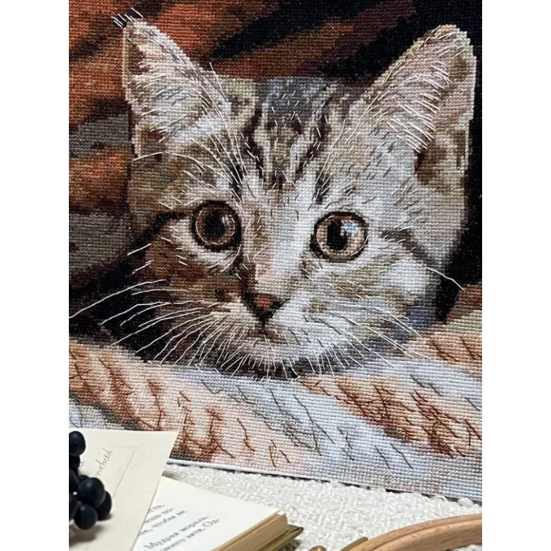 Cross stitch kit "Spy" 25,5 х 23 cm SANU-10