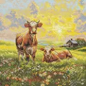 Cross stitch kit "In the meadow" SANN-39