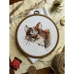 Cross stitch kit "Emotions. Surprise" SANE-08