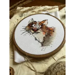 Cross stitch kit "Emotions. Surprise" 12 х 11,5 cm SANE-08
