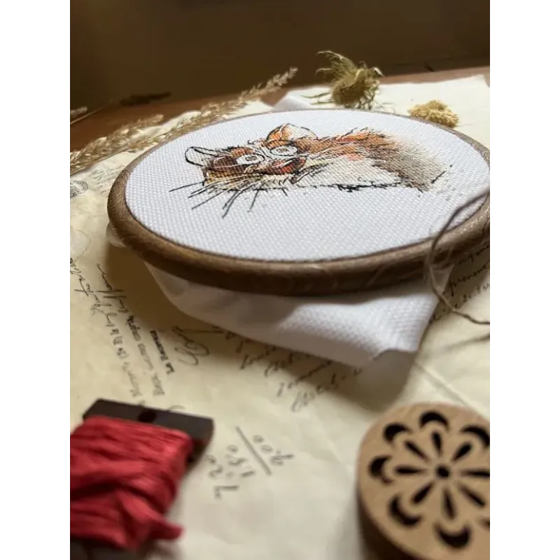 Cross stitch kit "Emotions. Surprise" SANE-08