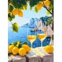 (Nutrauktas) Deimantinės mozaikos rinkinys su porėmiu "Jūros vaizdas" 30x40 cm VA867