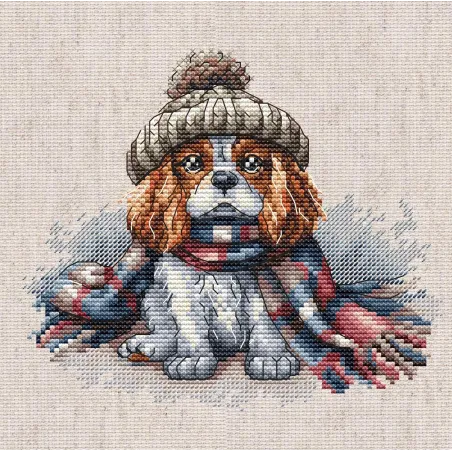 Cavalier King Charles Spaniel - Kit de point de croix AVA-P037