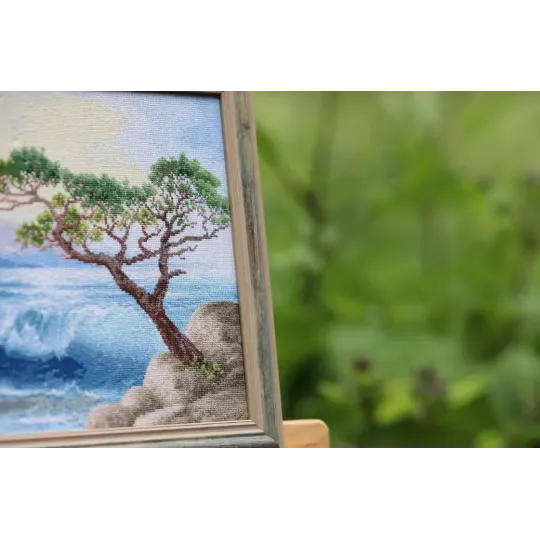 Cross stitch kit "Surf" 25x36 cm S/MM026