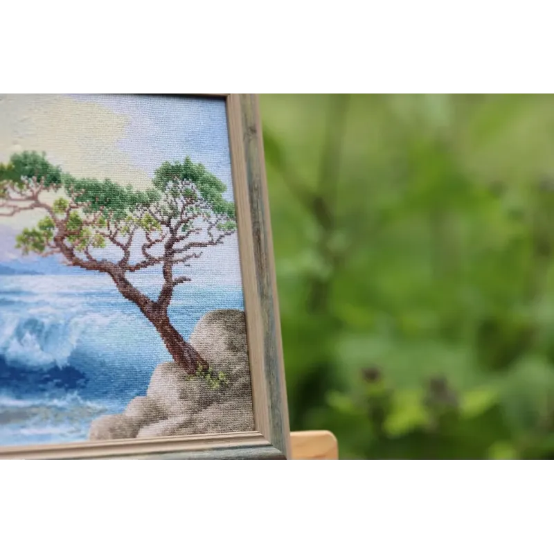 Cross stitch kit "Surf" 25x36 cm S/MM026