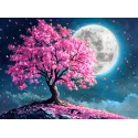 Diamond Painting with subframe Full moon 30x40 cm VA842