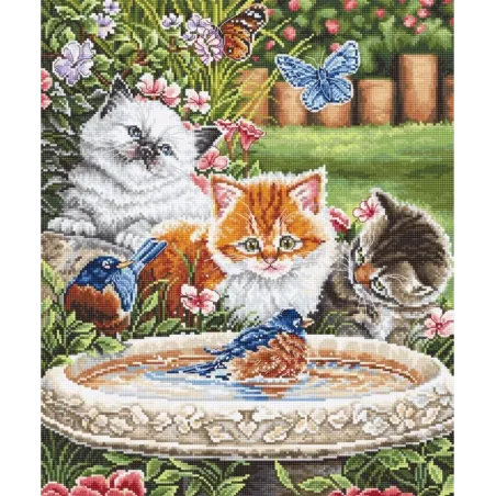 (S) Splashing Up Some Fun SLETIL8028 (D)