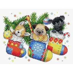 (D) Surprise du Nouvel An SM-566