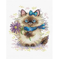 Sweet Kitty SM-357 (D)