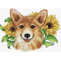 Sonniger Corgi SM-503 (D)