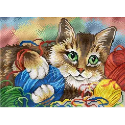 Kitten SM-032 (D)