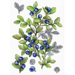 Kit de point de croix "Myrtille" 28*20 cm SNV-931
