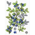 Cross stitch kit "Bilberry" 28*20 cm SNV-931