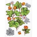 Kit point de croix "Myrtille" 28*19 cm SNV-930