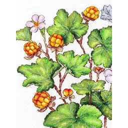 Kit point de croix "Myrtille" 28*19 cm SNV-930