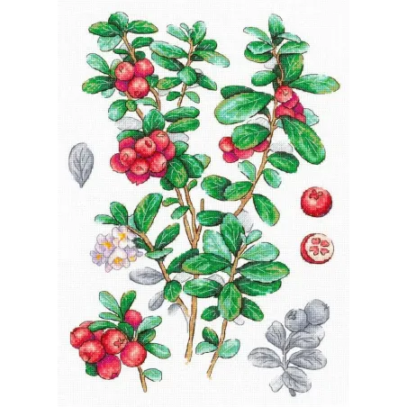 Kit de point de croix "Canneberge" 29*20 cm SNV-928
