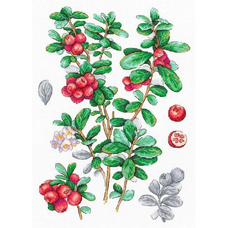 Kit de point de croix "Canneberge" 29*20 cm SNV-928