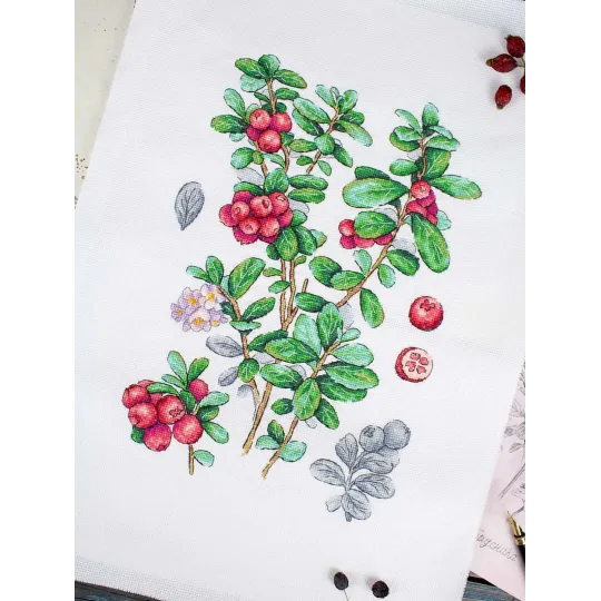 Kit de point de croix "Canneberge" 29*20 cm SNV-928