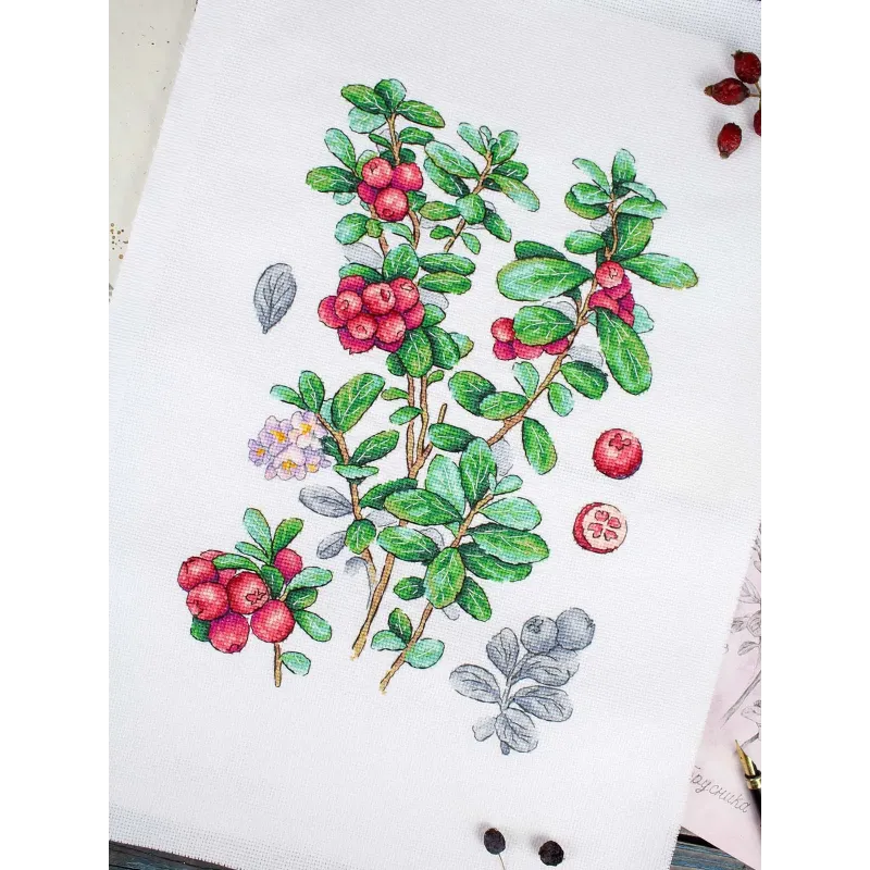 Kit de point de croix "Canneberge" 29*20 cm SNV-928