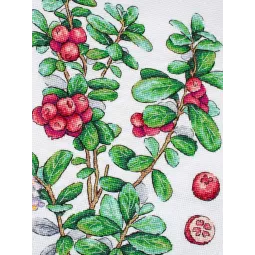 Cross stitch kit "Cowberry" 29*20 cm SNV-928