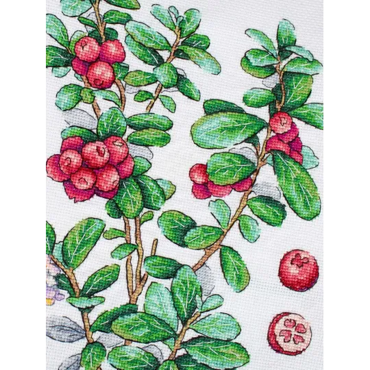 Cross stitch kit "Cowberry" 29*20 cm SNV-928