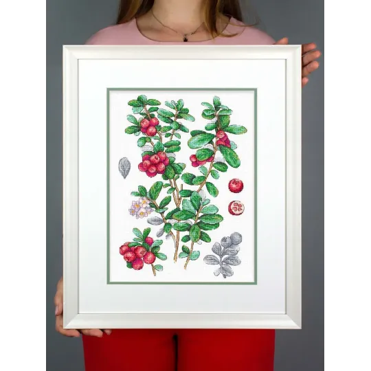 Kryželiu siuvinėjimo rinkinys "Spanguolė" 29*20 cm SNV-928