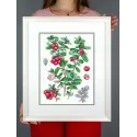 Cross stitch kit "Cowberry" 29*20 cm SNV-928