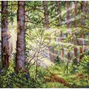 Kit de point de croix "Forêt Ensoleillée" 20*20 cm SNV-1004
