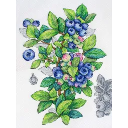 Cross stitch kit "Blueberry" 28*20 cm SNV-929