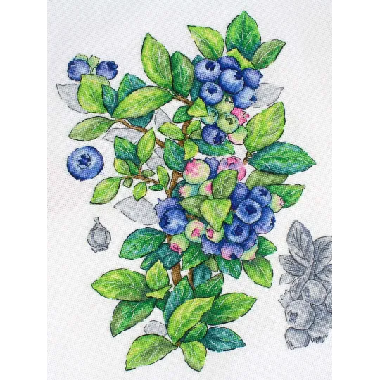 Cross stitch kit "Blueberry" 28*20 cm SNV-929